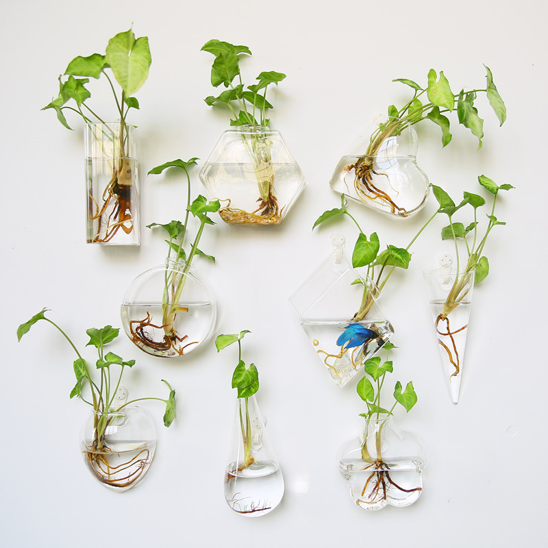 Self-Watering Planter - تررم زجاجي معلق على الحائط -