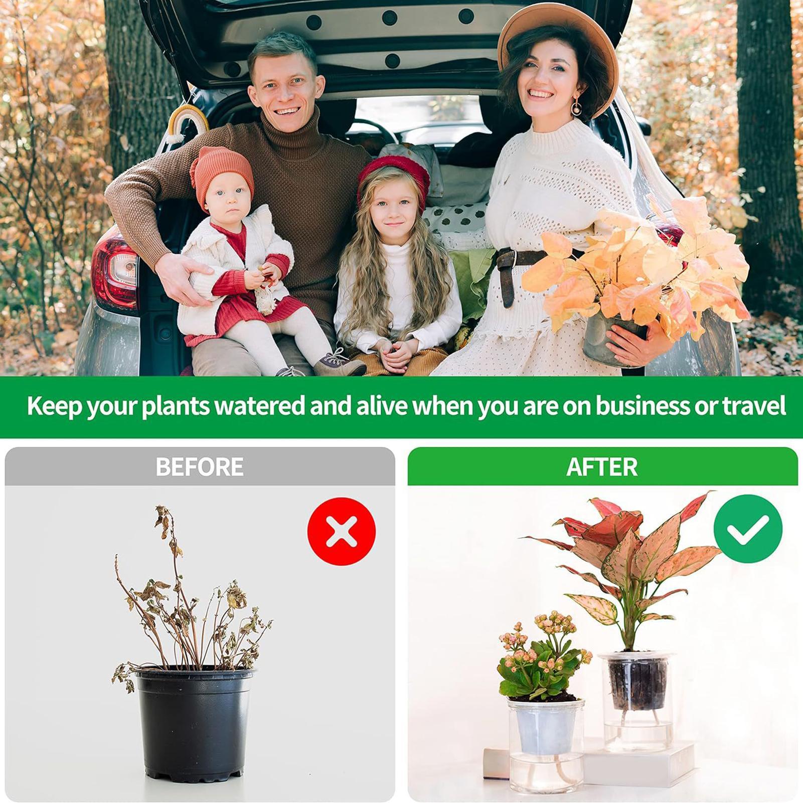 أعواد ري نباتية للري الذاتي، ن - مراجعة Self-Watering Planter وسعره