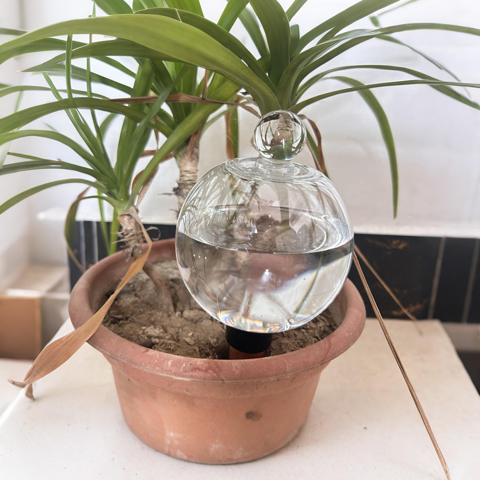 كرات سقي النباتات 4 قطع 500 مل - مراجعة Automatic Plant Waterer وسعره