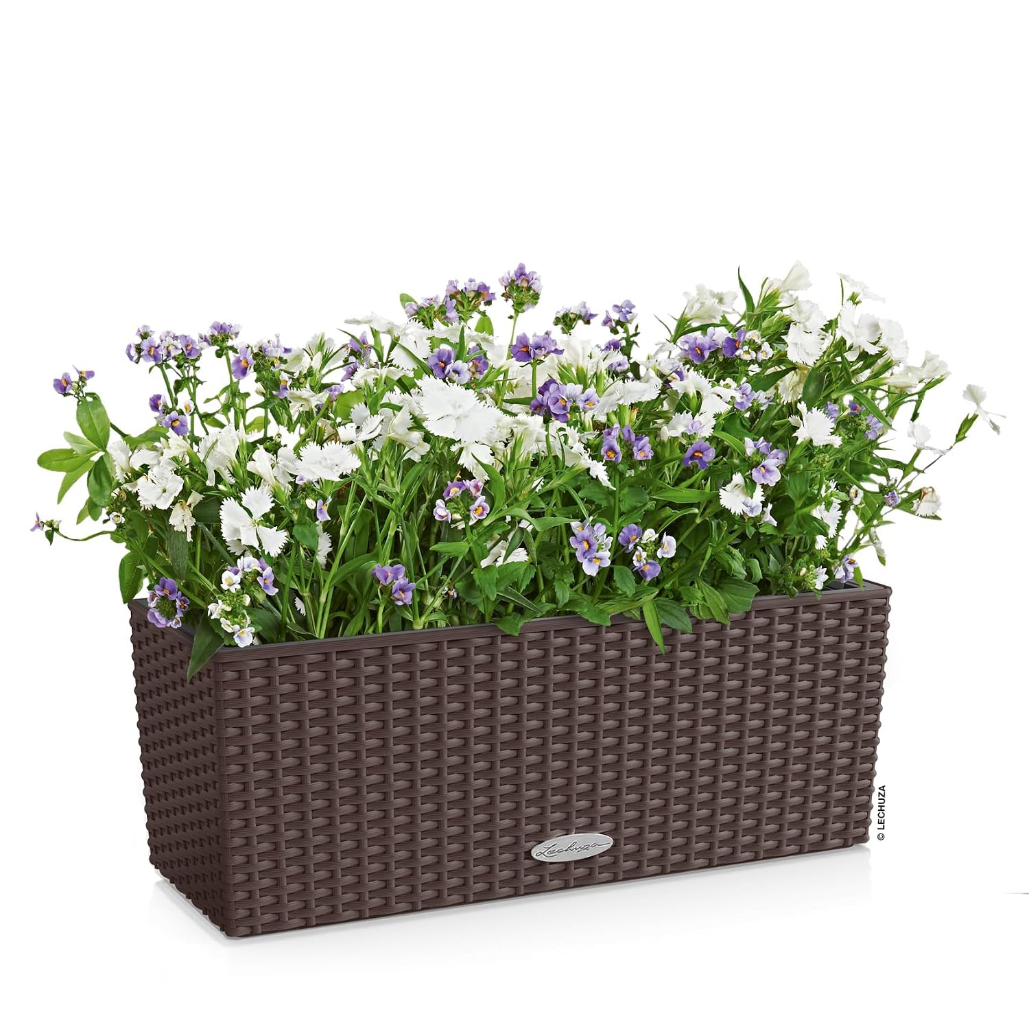 كوتاج بالكونيرا 50 موكا، صندوق - مراجعة Self-Watering Planter وسعره