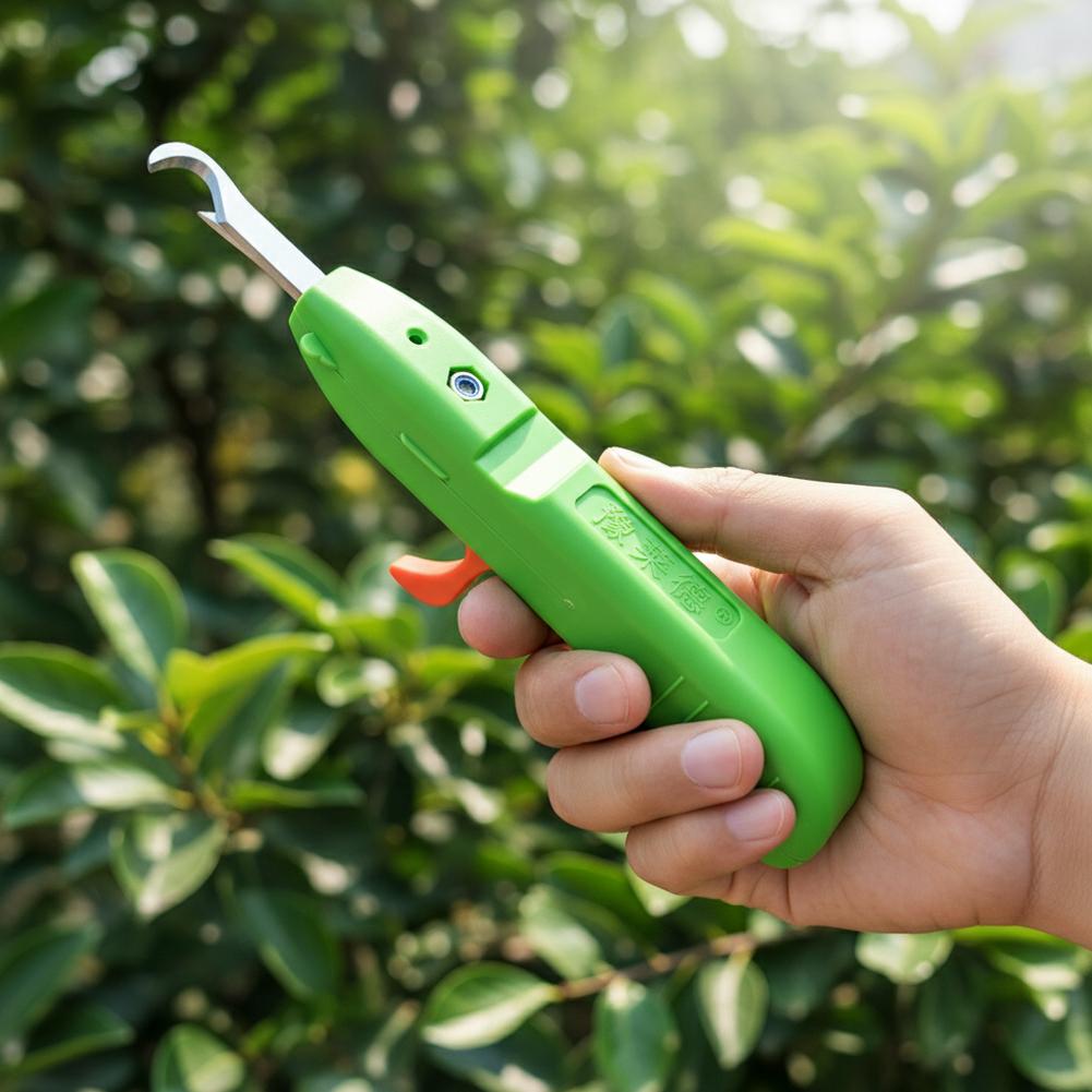 مقصات قطف الفاكهة والخضروات، م - مراجعة Gardening Tools Vegetables وسعره