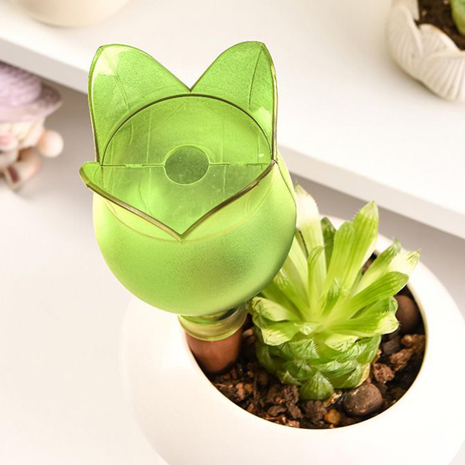 زارع سقي ذاتي إدراج نباتات الز - مراجعة Self-Watering Planter وسعره
