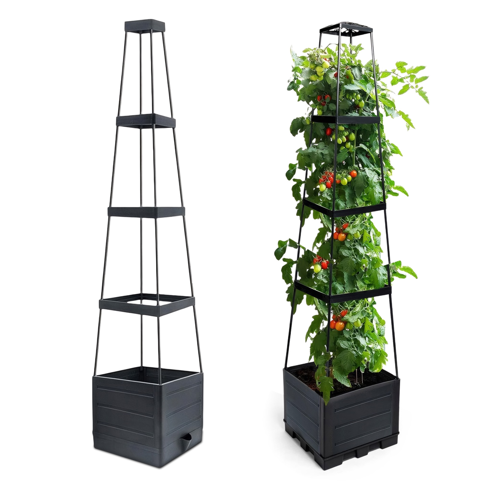 صندوق زراعة مرتفع مع سياج للنب - مراجعة Self-Watering Planter وسعره